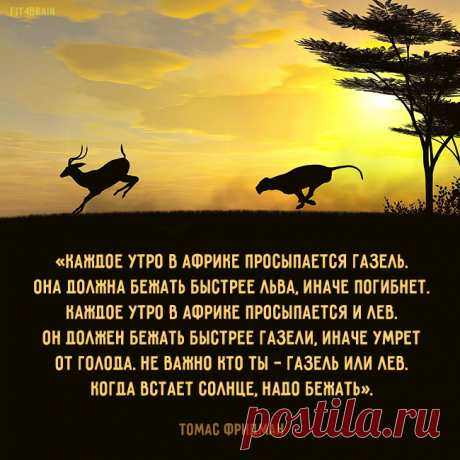 Это жизнь.