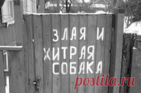 Для поднятия настроения Смотрим подборку прикольных картинок, заряжаемся позитивом и хорошим настроением!