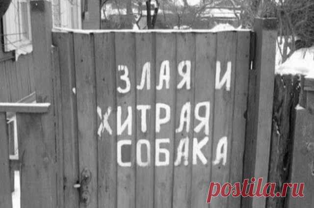 Для поднятия настроения Смотрим подборку прикольных картинок, заряжаемся позитивом и хорошим настроением!