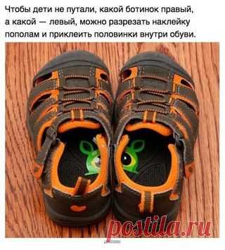 Хитрости Жизни