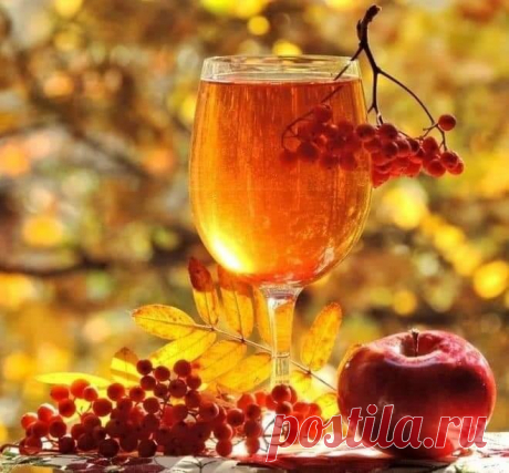 Осенний натюрморт!!!🍁
«Чем старше ты становишься,
тем явственнее ощущаешь, как хрупка жизнь...
Это прекрасный стимул,
чтобы каждое утро радоваться новому дню...»
© Джулия Робертс

И какой бы ни была погода этой осенью,пусть ваше сердце всегда будет в тепле...