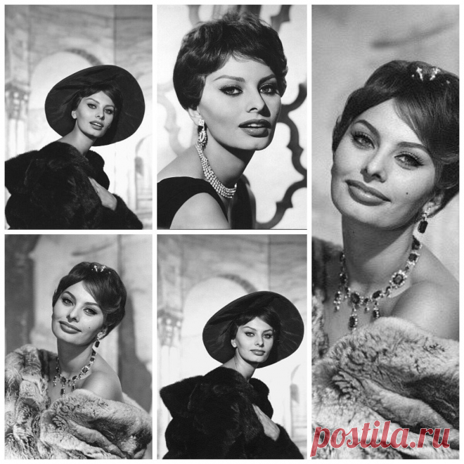 Софи Лорен в жизни и на экране в подборке лучших фотографий