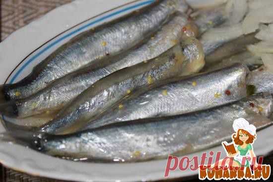 Вкусная маринованная мойва. - Блог Марина на 24open.ru