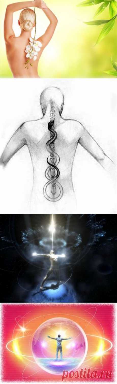 Струна жизни :: Основной сайт