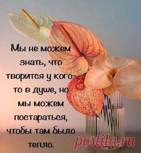 Нам в жизни паузы даются, чтоб было время оглянуться. Подумать чтоб, куда спешили, куда пришли и что забыли. Кто нас любил, кого любили. Кто нас простил, кого простили. С кем попрощаться, с кем остаться… И посмотреть со стороны: кто был, а кто хотел казаться.