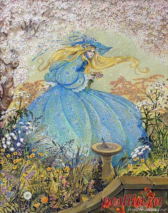 (3) Одноклассники