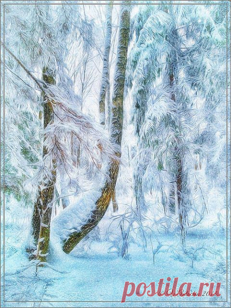Зимний лес похож на сказку,
На деревьях кружева.
Лес стоит в ином убранстве,
Колдовала здесь зима.

На деревьях снег пушистый
И такая тишина!
Птиц давно уже не слышно,
Лес стоит под негой сна.

Лес,укрытый одеялом
Белоснежным,крепко спит.
Он красив в таком убранстве,
Все здесь замерло,молчит.

Не слыхать здесь птиц веселых,
Нет и шелеста листвы,
Лес уснул под покрывалом
Снежной Матушки-Зимы.

Валентина Гонгалева