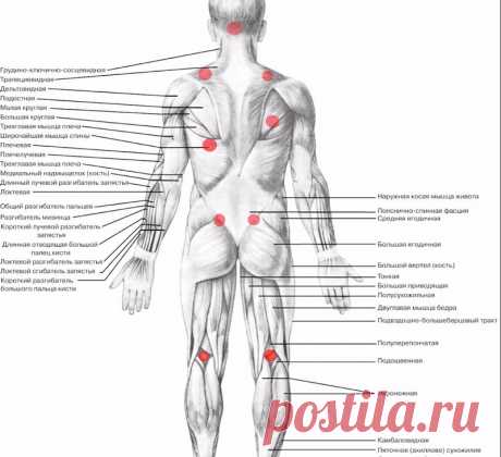 11 ЛУЧШИХ способов освободить НЕГАТИВНЫЕ эмоции через тело   Испытывать иногда гнев – нормально, если вы его не давите, а безопасно проживаете. Быть же в претензии к миру, когда хочется везде и все контролировать, и когда этого не случается – все время гневаться – вот это уже ненормально. Как ненормально и не уметь его контролировать.Контроль в том, чтобы выпускать пар безопасными для всех способами, ничего не оставляя в себе и ничего не вываливая на других.Как это сделать?