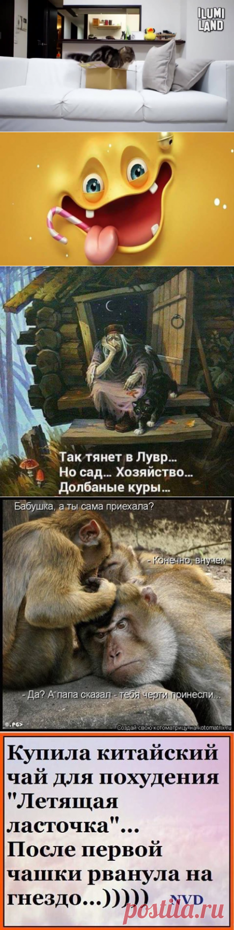 ЗАБАВНЫЕ СМЕХУЁЧКИ