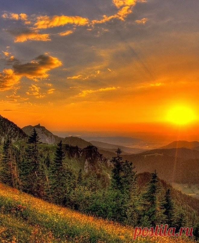 Belle nature