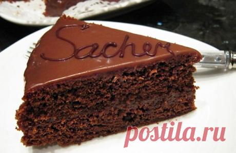 Торт Захер — Сад Заготовка