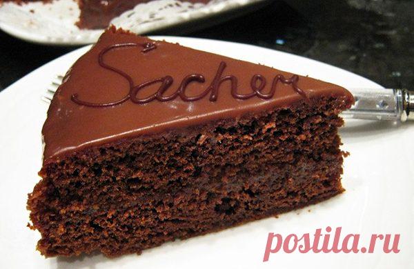 Торт Захер — Сад Заготовка