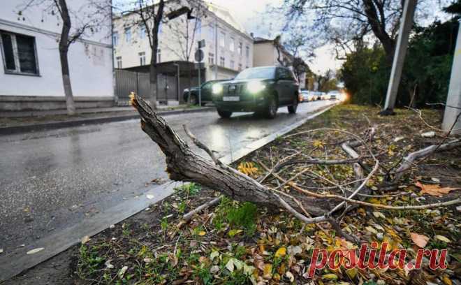 В Севастополе объявили нерабочий день для школ на фоне урагана в Крыму. В Севастополе понедельник, 27 ноября, объявлен нерабочим днем для школ, детских садов, учреждений социальной сферы и спорта на фоне урагана, который обрушился на Крым.