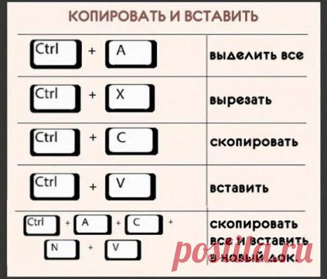 Интересные новости