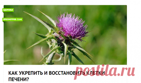 Как укрепить и восстановить клетки печени?