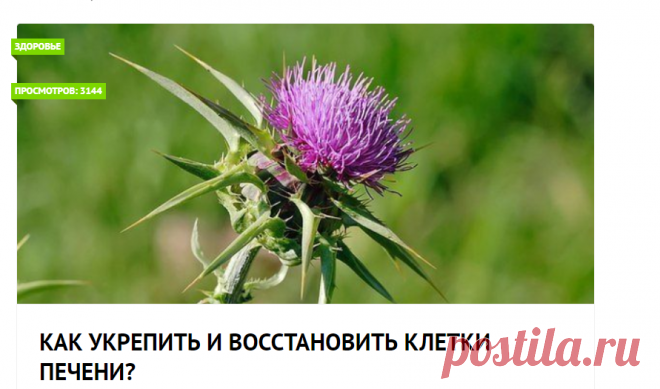 Как укрепить и восстановить клетки печени?