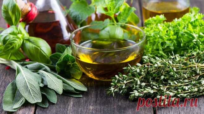 Раскрыт секретный напиток для продления жизни, доступный каждому