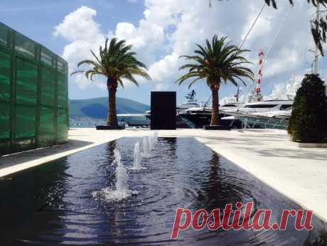 (5) Momir MatkovicPorto Montenegro