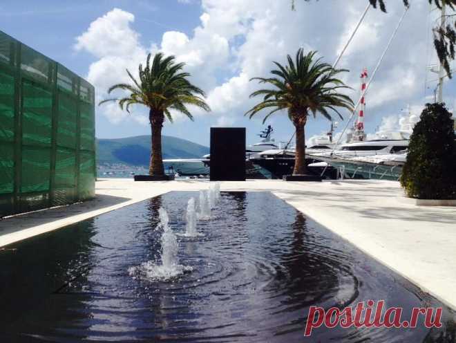 (5) Momir MatkovicPorto Montenegro