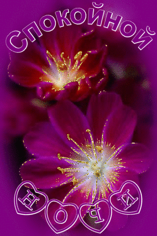 Спокойной ночи