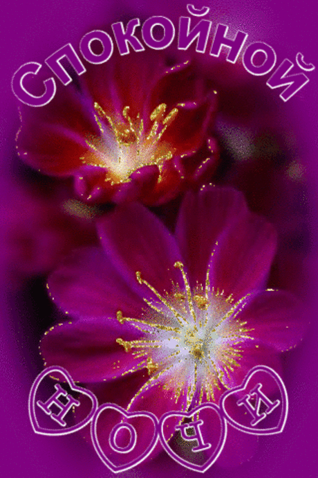 Спокойной ночи