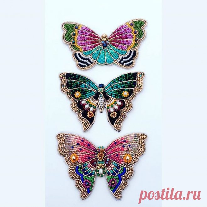 Evolve You 🦋