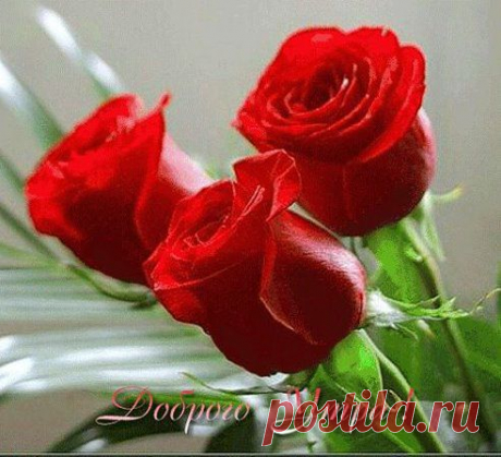 Доброе утро!
«Доброе утро!», тебе я скажу,
А, может, на ушко тебе прошепчу.
О том, что пора потихоньку вставать...
https://podaryutebe.ru/?p=2296

Подарю тебе » Доброе утро!
Поздравления и Пожелания