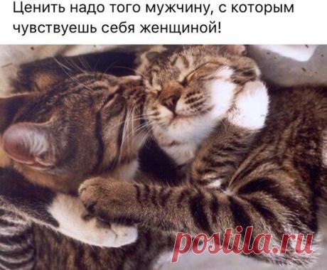 Мой Мир@Mail.Ru
