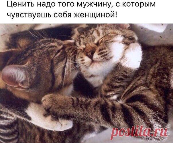 Мой Мир@Mail.Ru