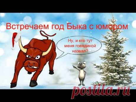Скоро Новый год — режим ожидания непонятного чуда включен. Встречаем год Быка с юмором. Забавная видео открытка