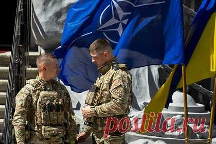 Уиткофф раскрыл договоренность России и США о гарантиях безопасности для Украины