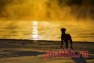 River on Fire | Liz | Flickr