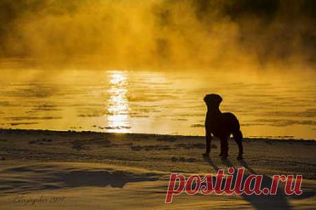 River on Fire | Liz | Flickr