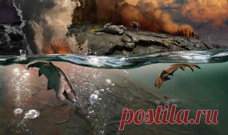 Ученые выяснили, каким был уровень моря на Кубе 125 тыс. лет назад | Наука и технологии