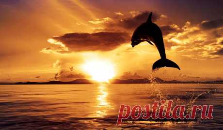 Ocean Sunset Wallpaper (48+), Download 4K Wallpapers For Free