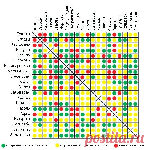 10 причин создать декоративный огород