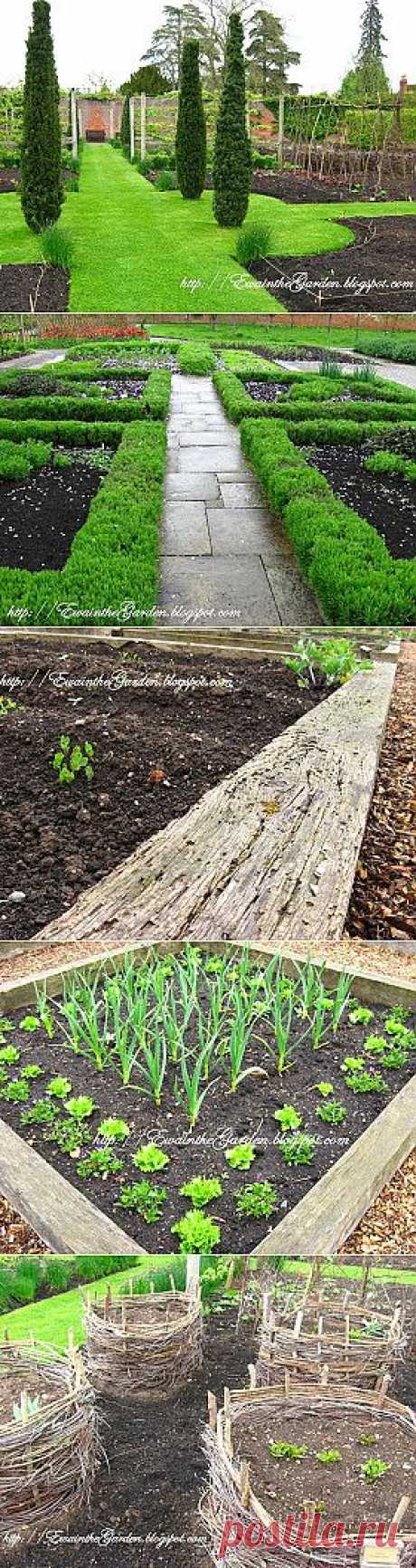 Ewa in the Garden: 22 Pictures of English Vegetable Garden