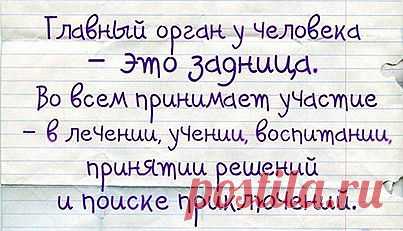 главный орган