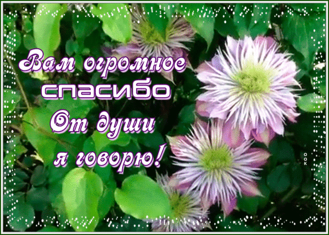Открытка спасибо с любовью
