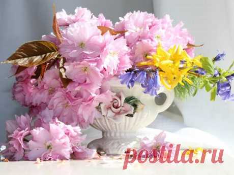 Тёплого настроения! 🌸 ☀ 🌼