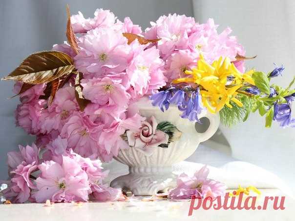 Тёплого настроения! 🌸 ☀ 🌼