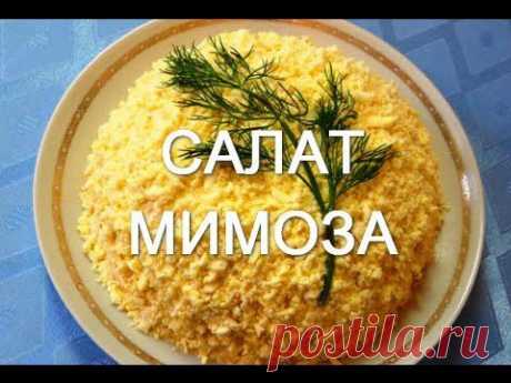 Салат Мимоза. Простые рецепты салатов - YouTube