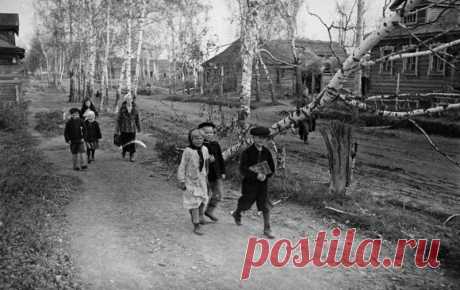 ФотоТелеграф » Редкие фотографии Великой Отечественной войны