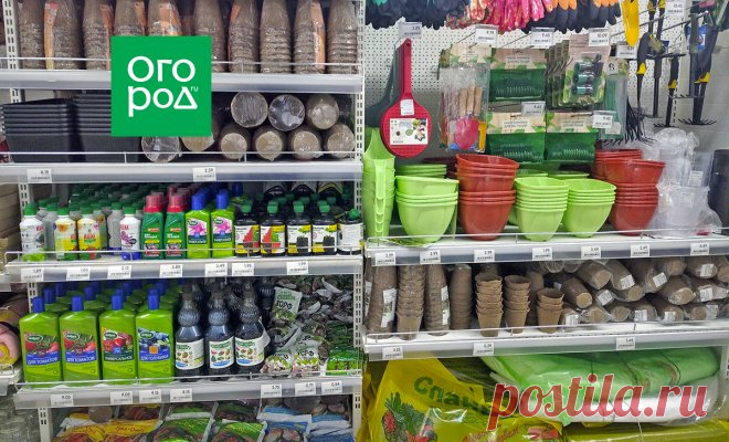 5 покупок для рассады, на которых не стоит экономить | На грядке (Огород.ru)