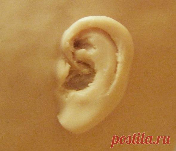 Уроки лепки от Наталии Зотовой. Шея и уши – 12 фотографий