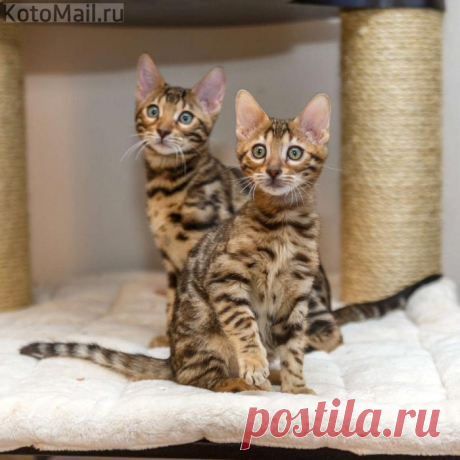 Нам скучать некогда