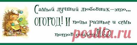 АФОРИЗМЫ И ЭПИГРАФЫ | Записи в рубрике АФОРИЗМЫ И ЭПИГРАФЫ | &quot;КРАСОТА И ДОБРОТА СПАСУТ МИР&quot;