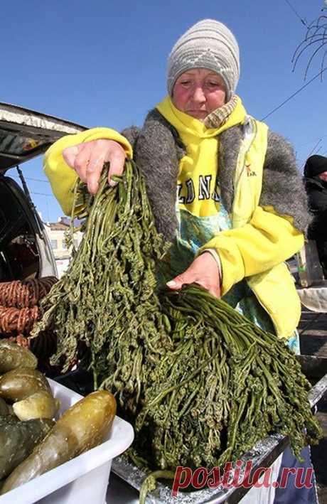 Забытые деликатесы;)) Что возвращается в лоно высокой русской кухни? — Вкусные рецепты