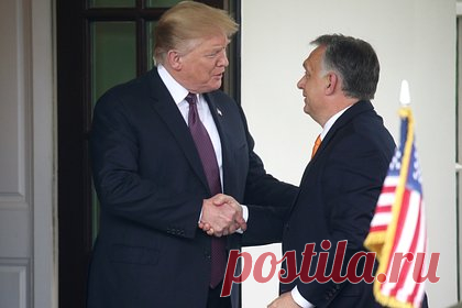 В Венгрии раскрыли отношение Трампа к Орбану