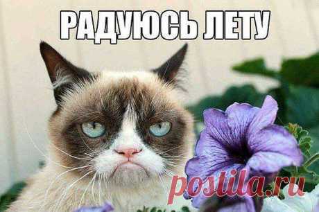Интересные новости